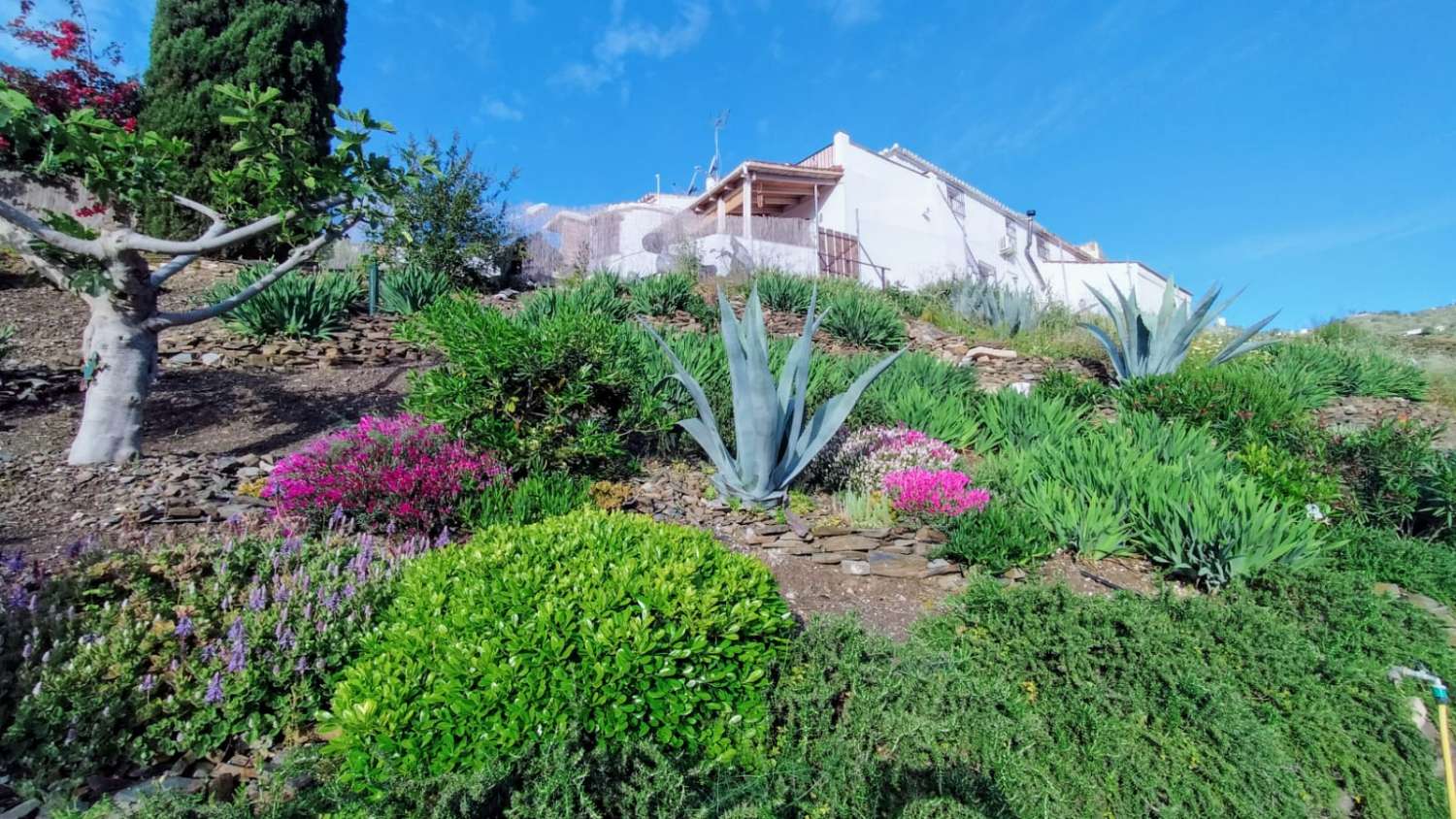 En venta esta hermosa finca con casa de invitados y piscina